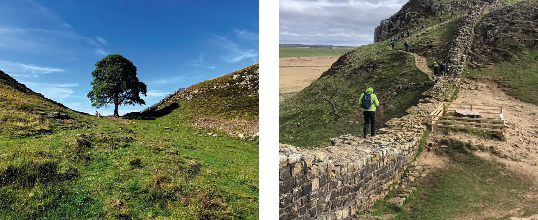 Sycamore gap tree before and after_ph_Remondino FBK