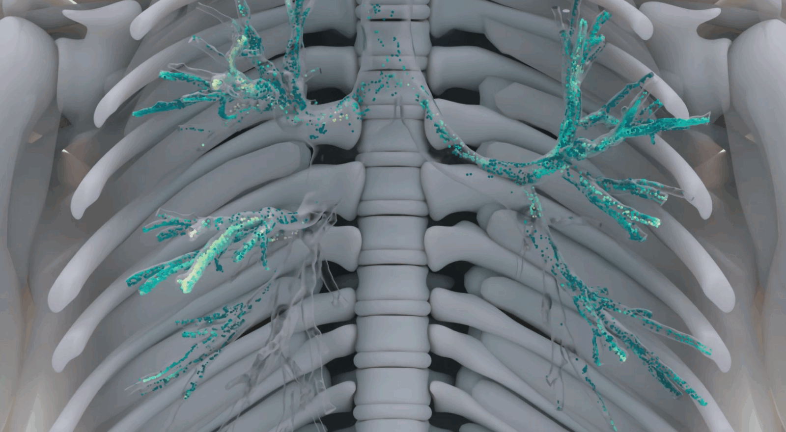 HARMONIE project kick-off!